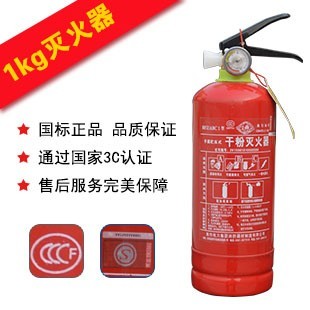 1公斤汽车必备车载灭火器_手提式干粉灭火器