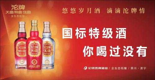 万众期待的1月审车团开始报名啦